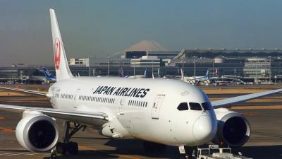 初めての宮古島へ　チョコを狙って2/14飛行機搭乗?　【羽田空港編】