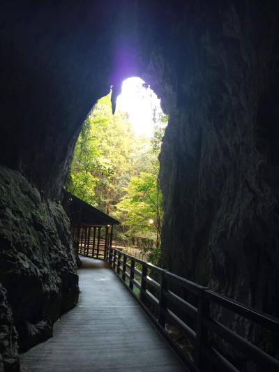 秋の山陰・九州・四国・紀伊半島の旅 ④　三瓶山北之原キャンプ場から秋吉台　