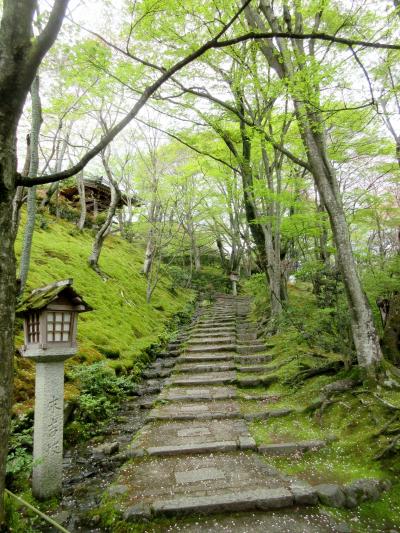 常寂光寺、竹林の小径　京都の旅2017