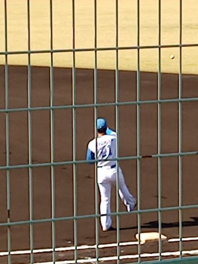 秋の山陰・九州・四国・紀伊半島の旅 ⑦　豊後大野市から都城市　フェニックスリーグ