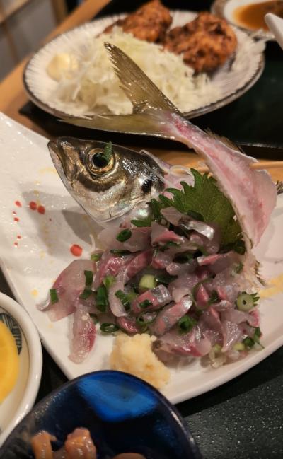 まったり熱海 花火に観光に温泉　2泊3日