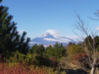 伊東園ホテルズ　熱川ハイツに泊まる１泊２日の温泉旅行～２日目～