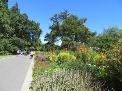 2023/12 冬旅(夏のニュージーランド南島)⑤クライストチャーチ散歩と半日ワイナリーツアー