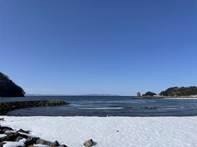 東京発の新幹線を降りた時から新青森駅は雪の中（青森・岩手日帰り1人旅行）