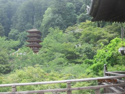西国観音まほろば奈良の巡礼記（１２）長谷寺本堂からの眺め。