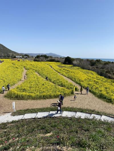 渥美半島菜の花まつりウォーク