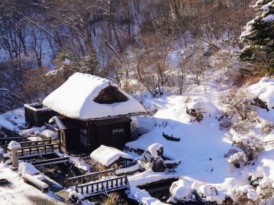 「郡山駅にビューーン！」だから　プラス課金して福島駅へ湯活旅