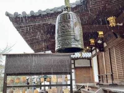 奈良　雨の大安寺へ