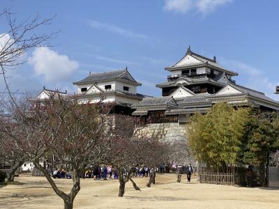 2024年3月　愛媛旅行（1日目・松山編）