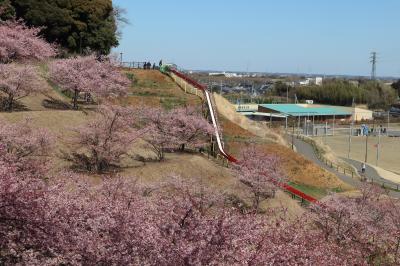 印西市散策（１０）・・木下万葉公園と木下交流の杜公園を訪ねます。