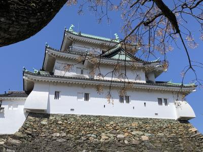 わかやまさんぽ　　②和歌山城公園めぐり～お城　天守閣へ。