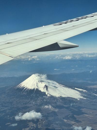 飛行機を乗り継いで遠回りな道後温泉。