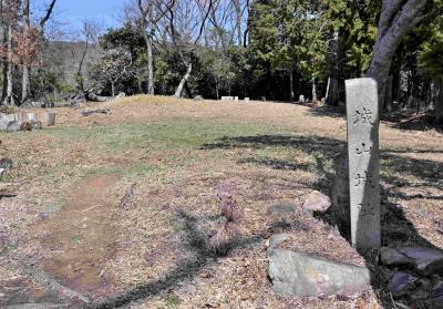 千早城と芥川山城