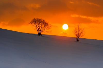 夢よもう一度!厳冬期の美瑛2024(後編)