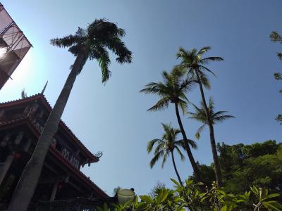 〇〇祝いのはずが・・・呪われた台南の旅。1日目~3日目