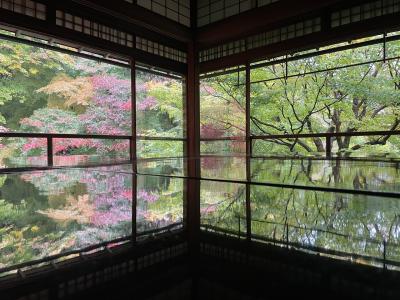 絵画のような紅葉を求めて京都へ!