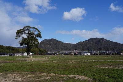 椿を観に笠山へ【１】～防府を巡る～