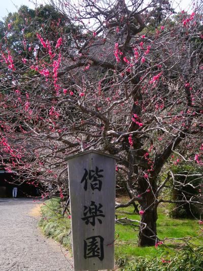 水戸‐4　偕楽園c　 好文亭表門～竹林～太郎杉～吐玉泉　☆陰影の深い苑‐静寂空間を体感