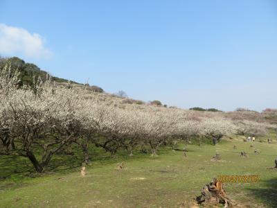 たつの散歩