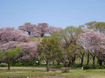 ヤマトタケル空白の旅路　金鑚神社2　華奴蘇奴国とさきたま古墳郡、雄略天皇登場！