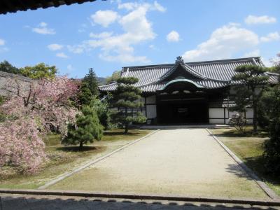 隨心院・金地院・南禅寺　京都の旅2017