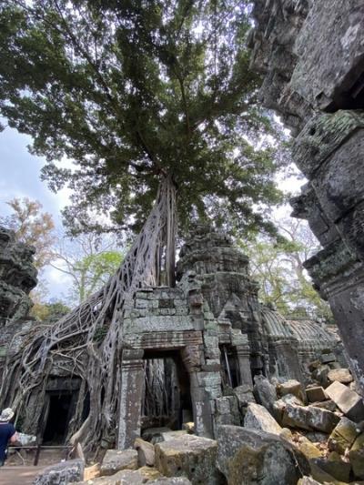 神秘のアンコール遺跡5日間☆行って良かった感動の朝日①アンコールトム.タ・ムプローム寺院