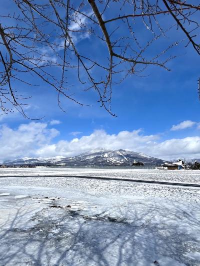 猪苗代湖に白鳥はいなかったけど、レモンの様な中ノ沢温泉と言う極上温泉を発見した！