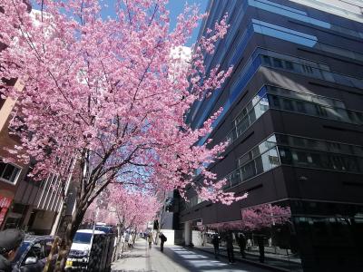 ’２４　東京さんぽ　日本橋１（おかめ桜通り～ISHIYA CAFEのパンケーキ）