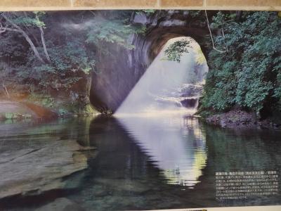 春の花咲く房総半島花巡り（2日目）