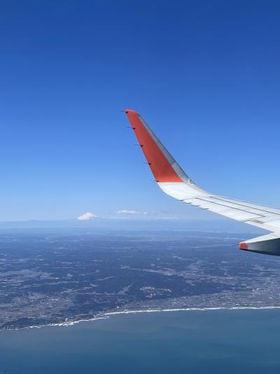 成田でランチブュッフェの後関空に一時帰国のLaylaさんをお迎えにー