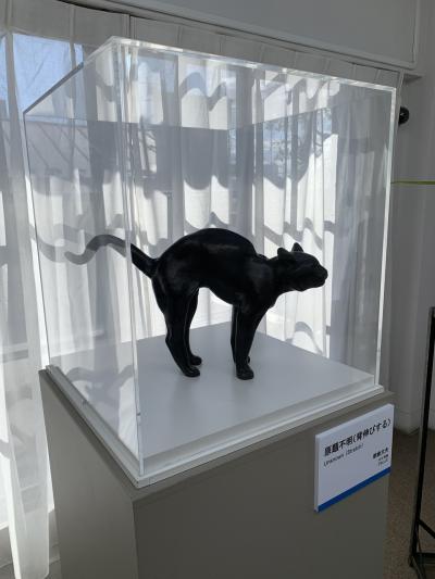 「谷根千」谷中 日暮里 朝倉彫塑館から根津神社あたり