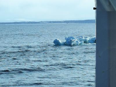 冬の北海道に流氷を求めて