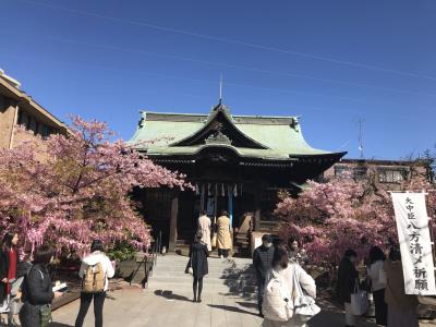 【休日】早く春を迎えたい