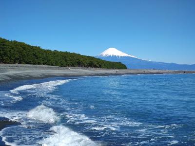 18きっぷで静岡日帰り旅～念願の三保松原越しの富士山＆久能山東照宮、日本平