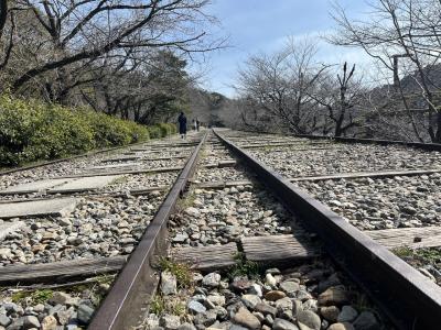 琵琶湖疏水から南禅寺へ