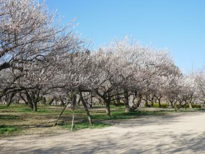 両親と行く茨城旅行（1日目）