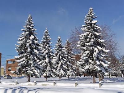 雪の北海道に行ったどー！三日目①午前中は雪の帯広市内をひたすら歩く。　