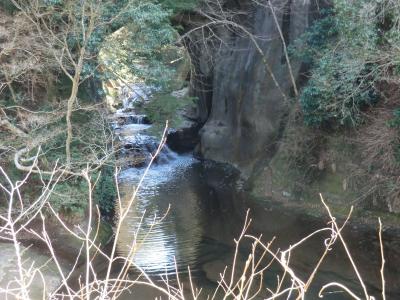 館山リゾートホテルに5泊して千葉を楽しむたび