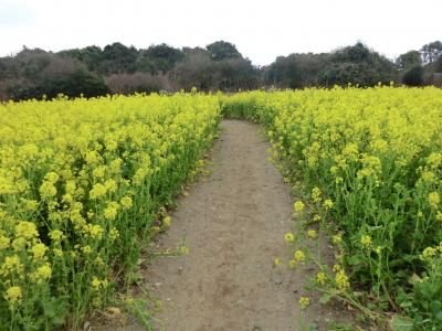 伊良湖畔でプチ暮らすような旅5日間