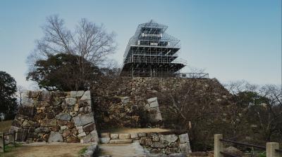 福岡城と名護屋城登城と食べ歩き