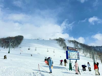 ニセコバブルですがリーズナブルな湯宿いろはに泊まり、ニセコアンヌプリでスキーをしてきました。