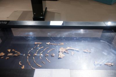 エチオピアの旅　4