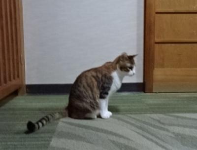 最長片道切符の旅・第21日目