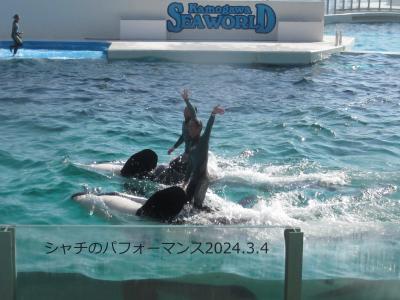 春の南房総とマザー牧場　Kamogawa Seaworld and Mother Farm