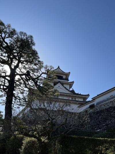 「どこかにマイル」で行く念願の高知旅行2日目