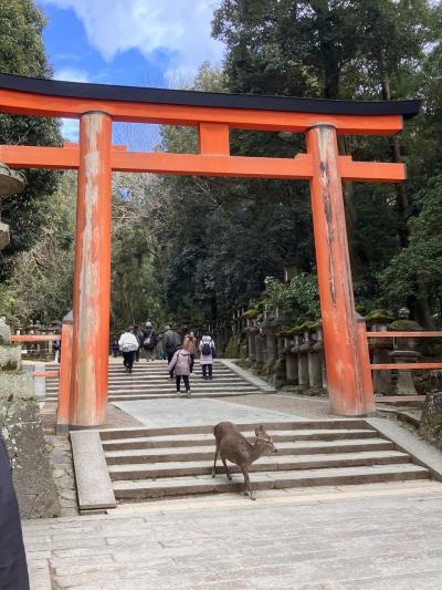 心の浄化　京都＆奈良旅