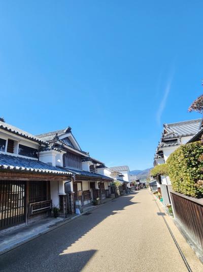 シニアトラベラー！淡路島・徳島満喫の旅④