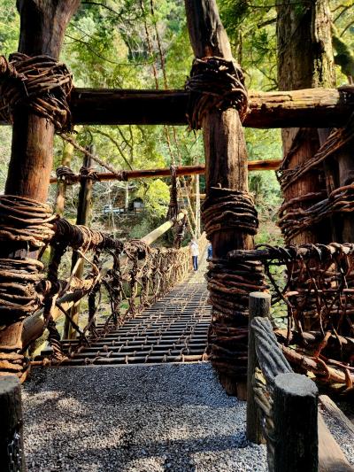 シニアトラベラー！淡路島・徳島満喫の旅⑤