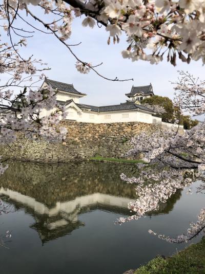 2022年 石切さんと朝ドラ聖地巡礼・岸和田