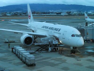 2024年3月　JL102 伊丹(ITM)ｰ羽田(HND)線 JAL国内線ファーストクラス搭乗記～JALファーストクラスラウンジ